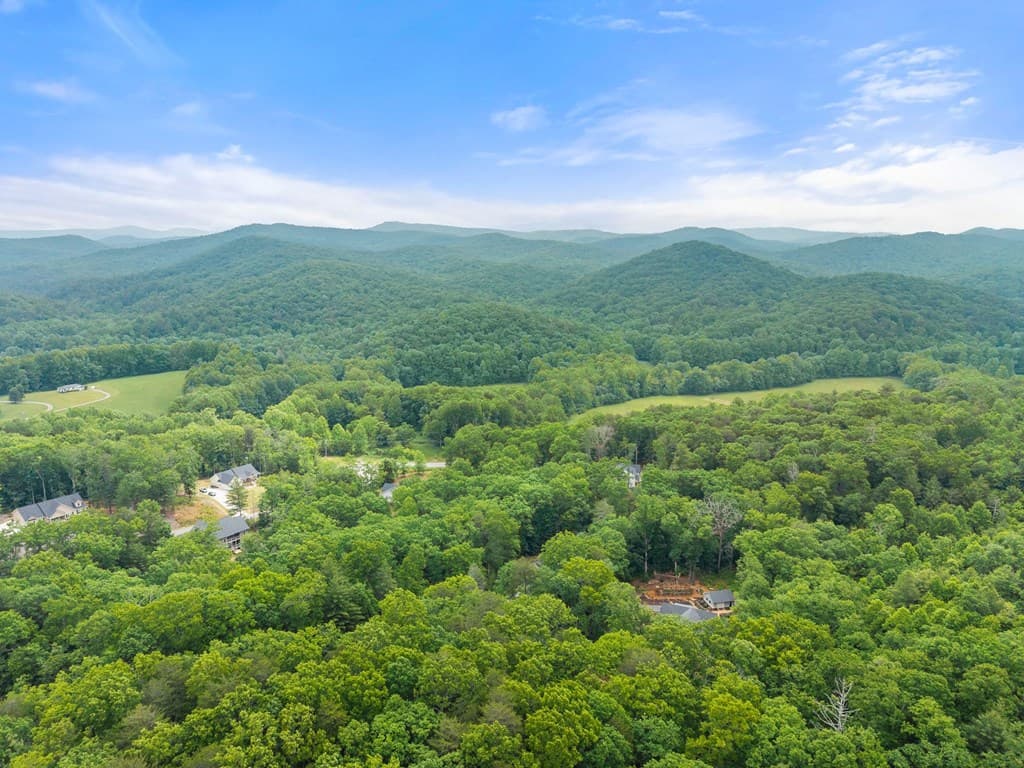 286 Frances Drive, Ellijay GA 30536 - Photo