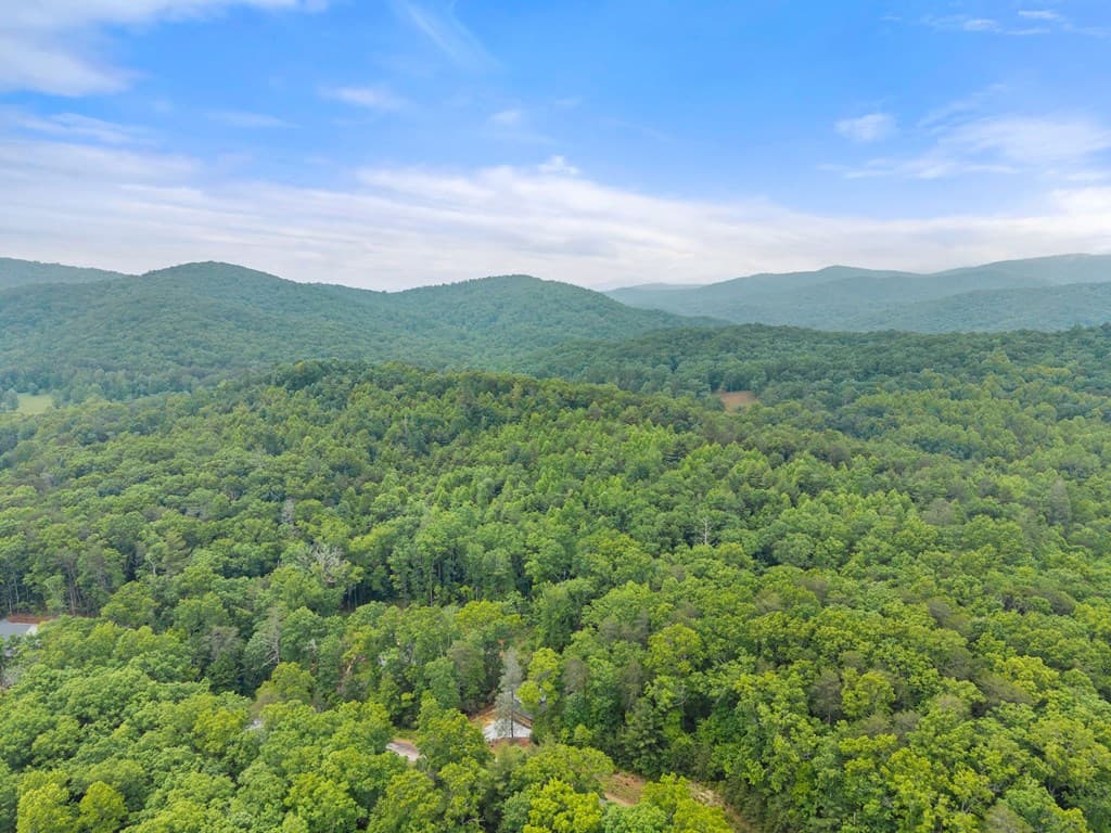 286 Frances Drive, Ellijay GA 30536 - Photo
