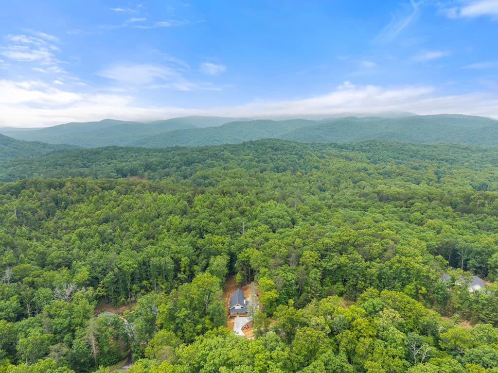 286 Frances Drive, Ellijay GA 30536 - Photo