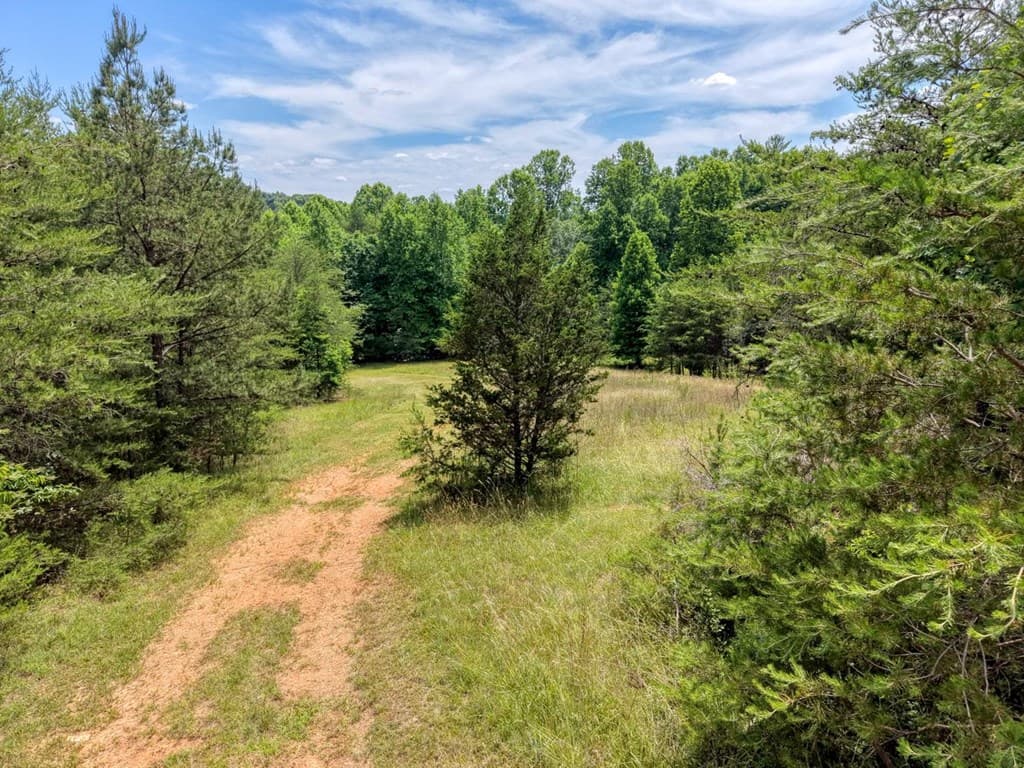 Lot 13 Porter Place, Blairsville GA 30512 - Photo
