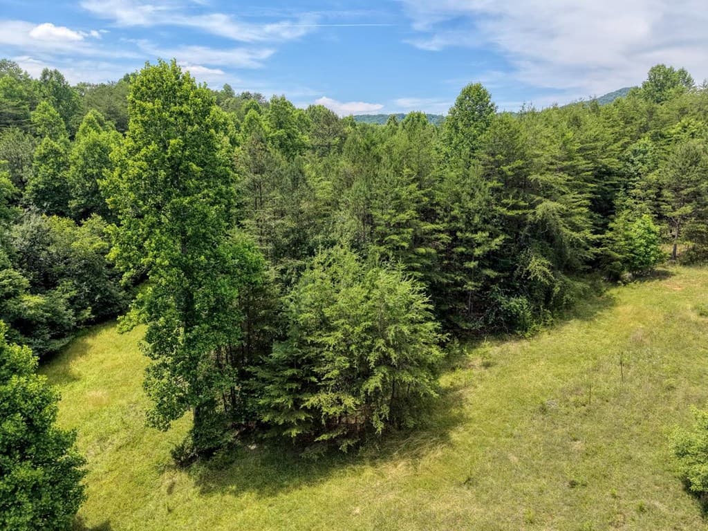 Lot 13 Porter Place, Blairsville GA 30512 - Photo