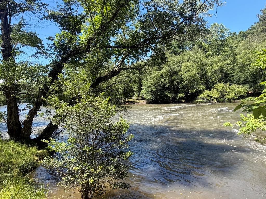 92 Fish Trap Road, Blue Ridge GA 30513 - Photo