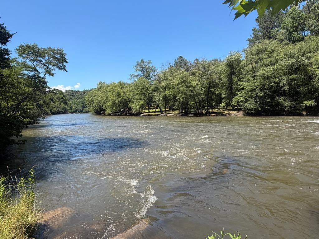 92 Fish Trap Road, Blue Ridge GA 30513 - Photo