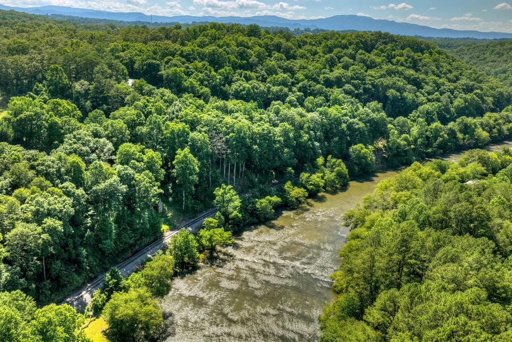 92 Fish Trap Road, Blue Ridge GA 30513 - Photo
