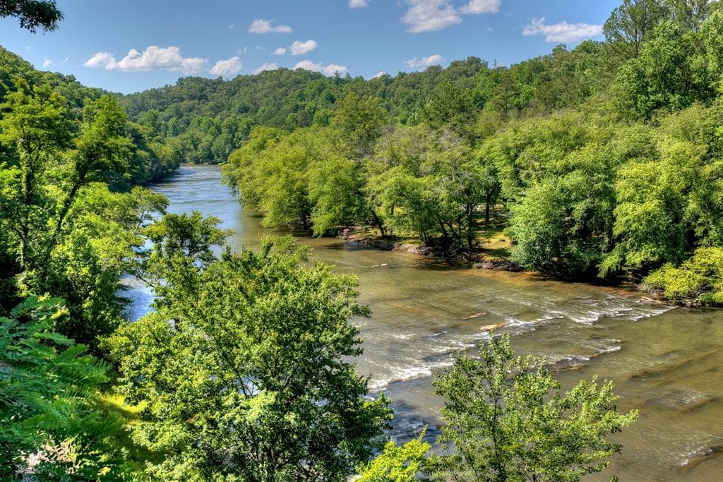 92 Fish Trap Road, Blue Ridge GA 30513 - Photo
