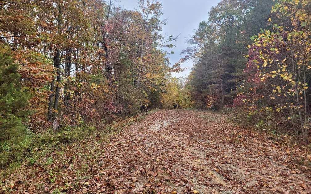 43.91 Old Burnt Mountain Road, Ellijay GA 30540 - Photo