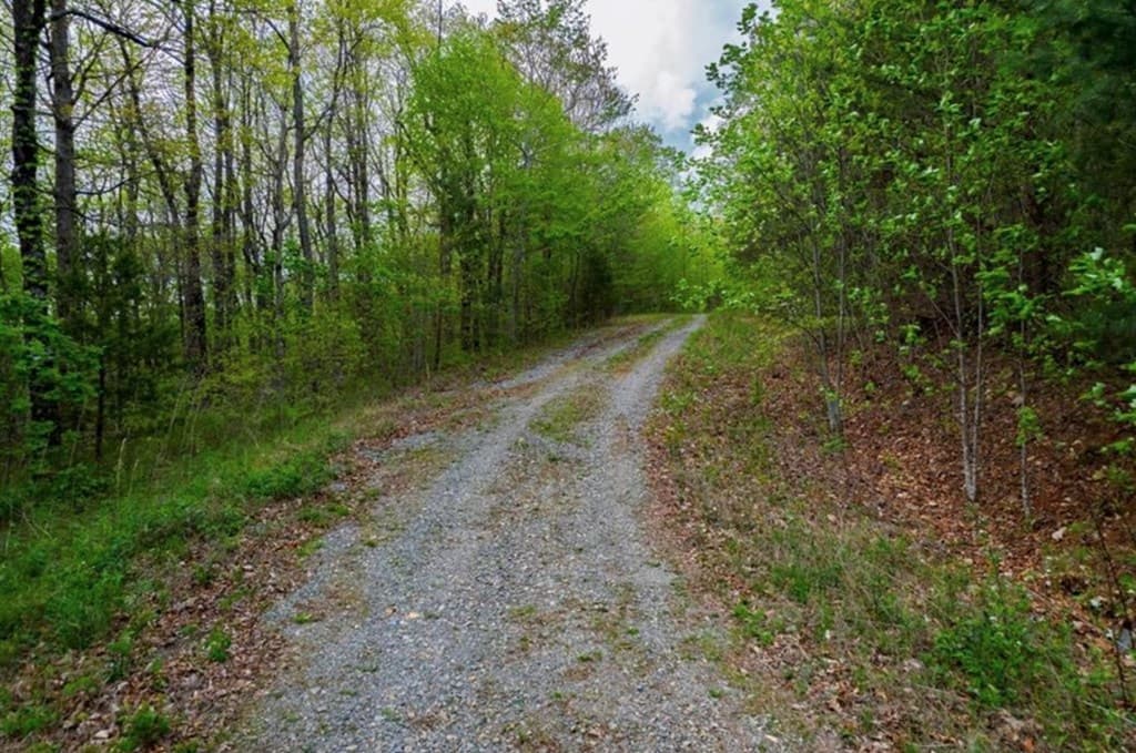 43.91 Old Burnt Mountain Road, Ellijay GA 30540 - Photo