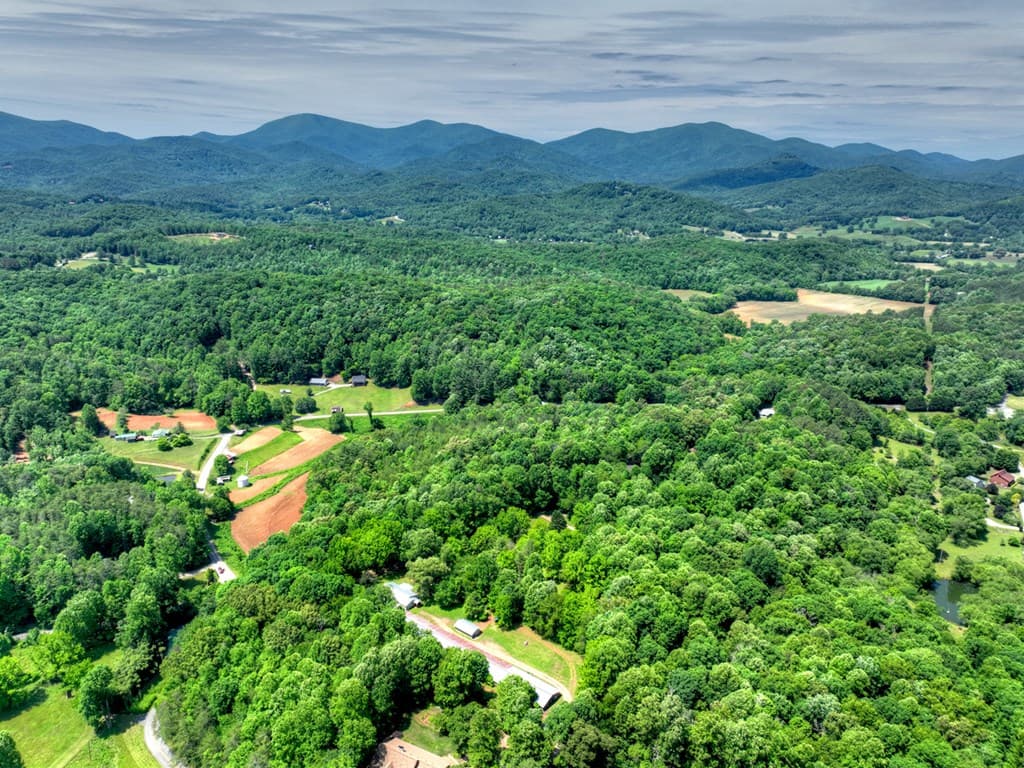 93 Collins Nursery Lane, Blairsville GA 30512 - Photo