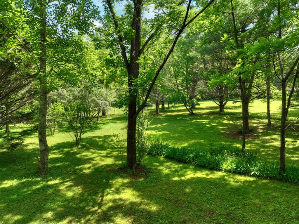93 Collins Nursery Lane, Blairsville GA 30512 - Photo