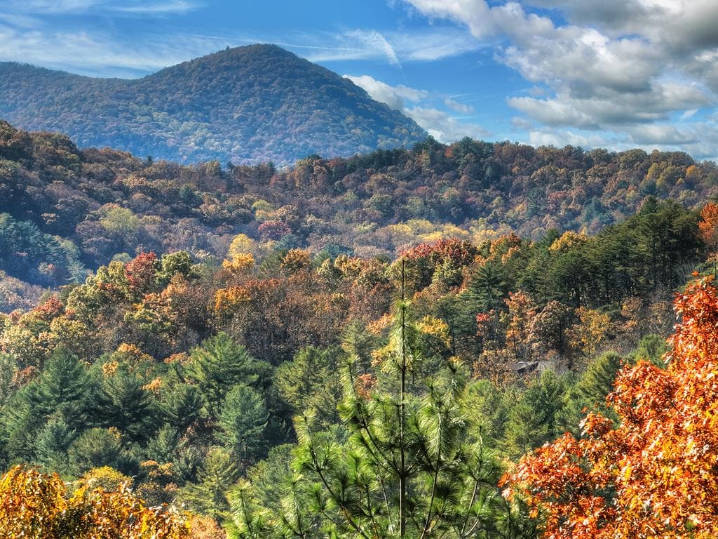 671 Stover Knob Trail, Cherry Log GA 30513 - Photo