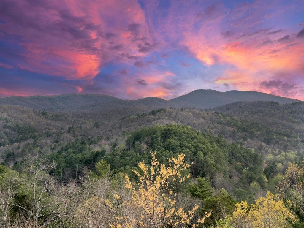 671 Stover Knob Trail, Cherry Log GA 30513 - Photo