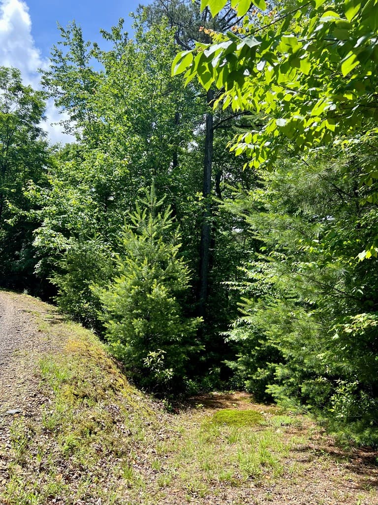 #31 Fiddlers Way, Murphy NC 28906 - Photo