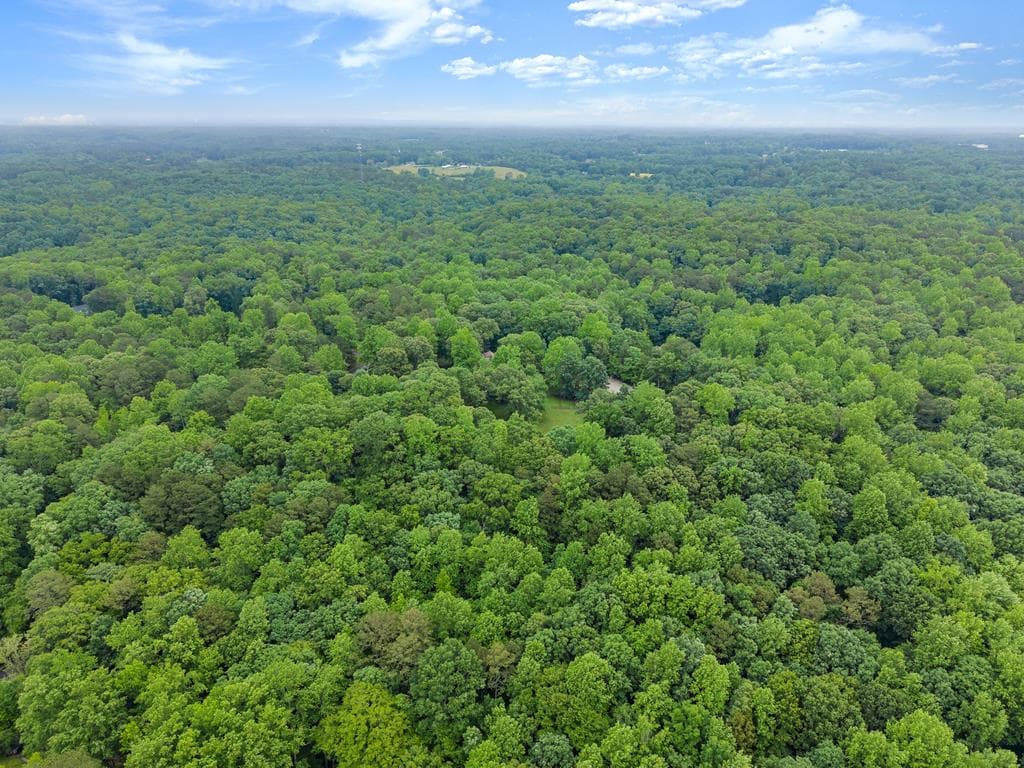 802 Old Mill Trail, Ball Ground GA 30107 - Photo