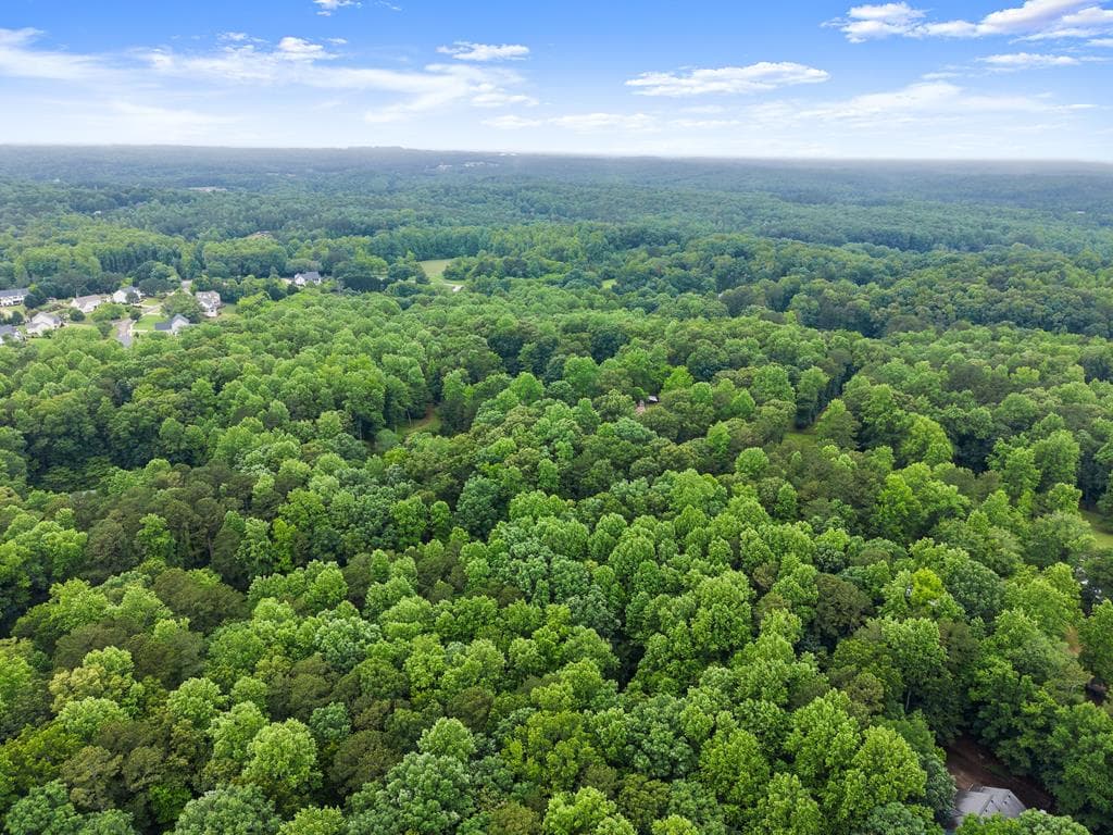 802 Old Mill Trail, Ball Ground GA 30107 - Photo