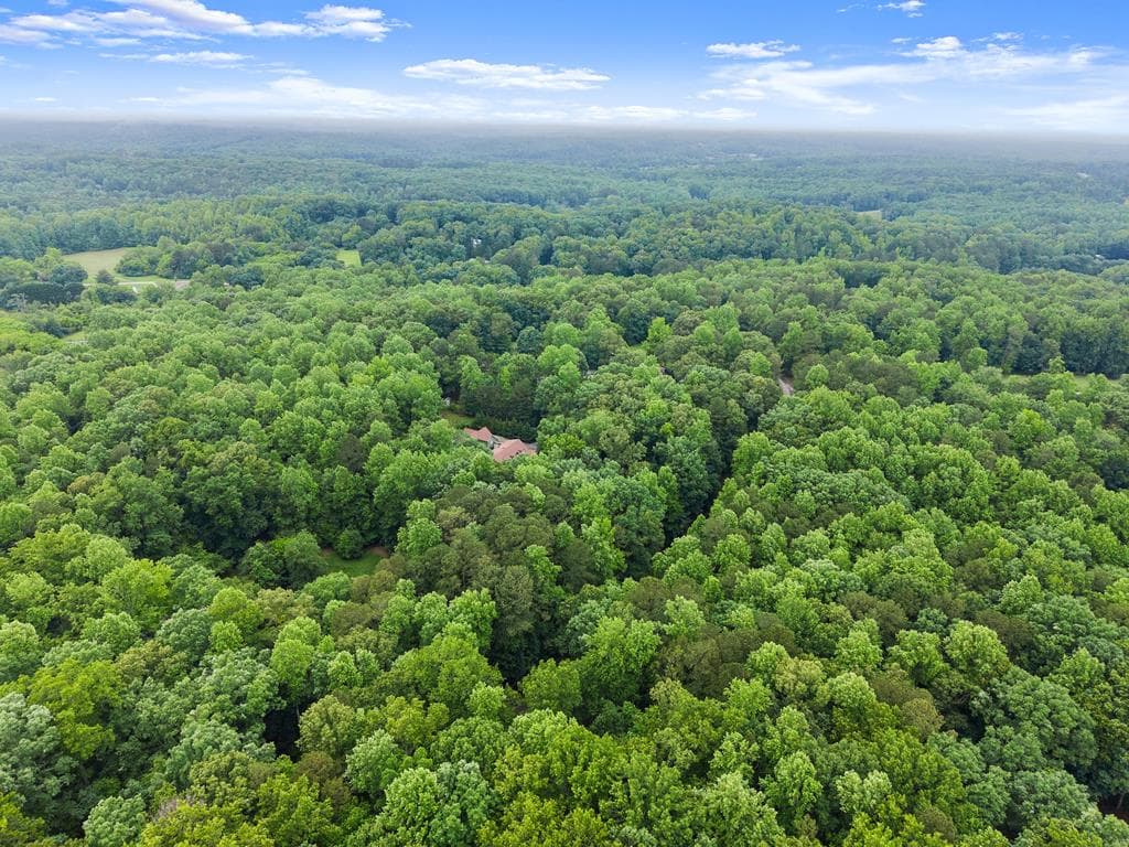 802 Old Mill Trail, Ball Ground GA 30107 - Photo