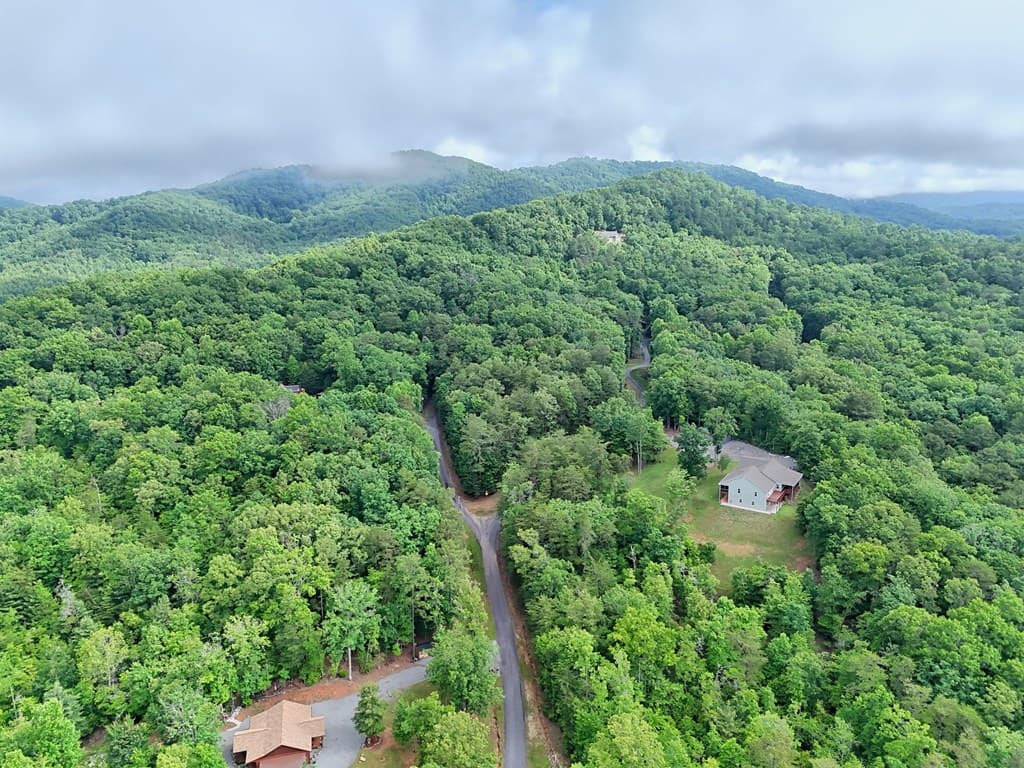 Lt 16,19 Pheasant Trail, Warne NC 28909 - Photo