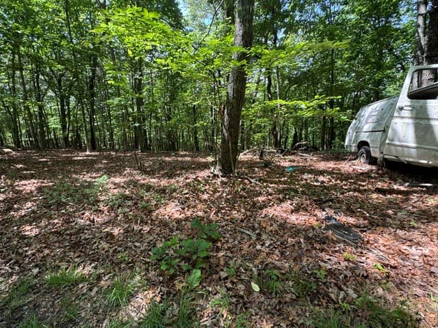 154 Chill Lane, Blairsville GA 30512 - Photo