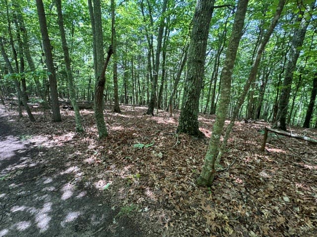154 Chill Lane, Blairsville GA 30512 - Photo