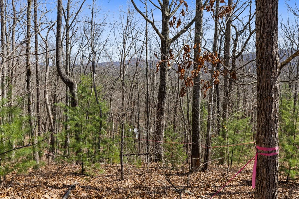 40A Synacia Road, Mineral Bluff GA 30559 - Photo