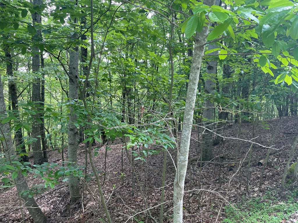 Lot 11 Brumby Run, Blairsville GA 30512 - Photo