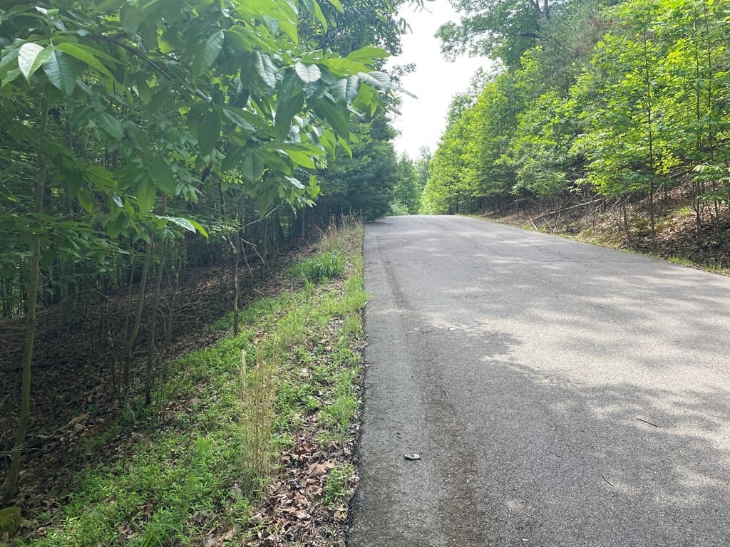 Lot 11 Brumby Run, Blairsville GA 30512 - Photo