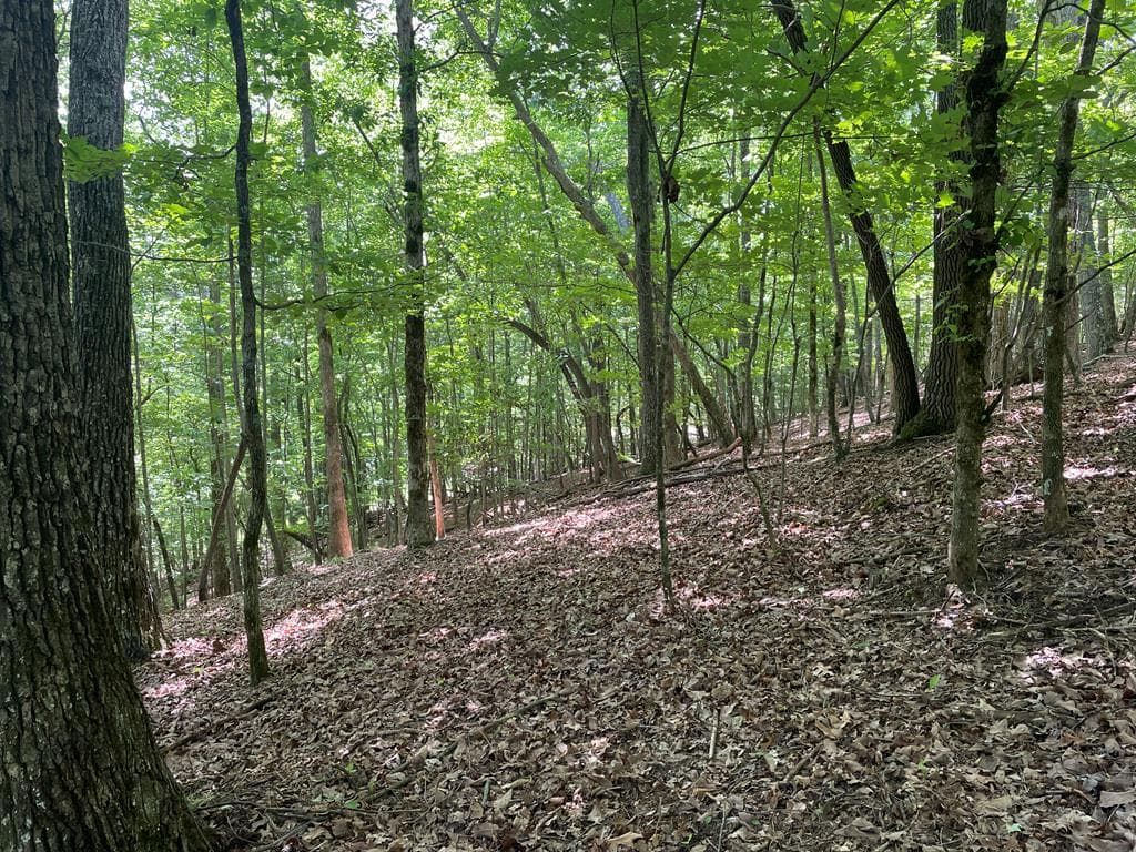 Lot 11 Brumby Run, Blairsville GA 30512 - Primary photo