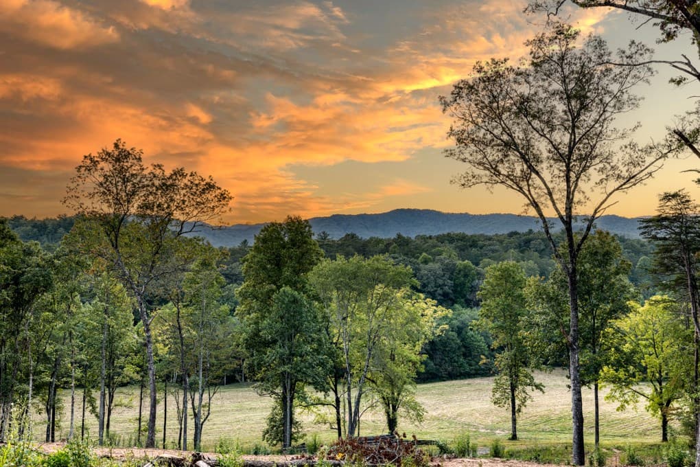 5664 Mobile Road, Blue Ridge GA 30513 - Photo