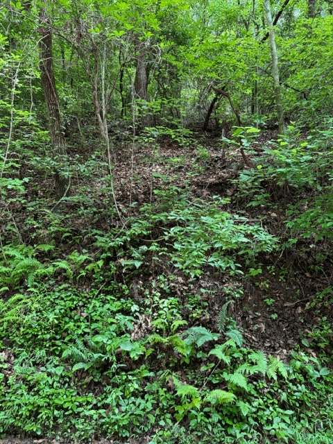 Lot 2 Kells Ridge, Ellijay GA 30540 - Photo
