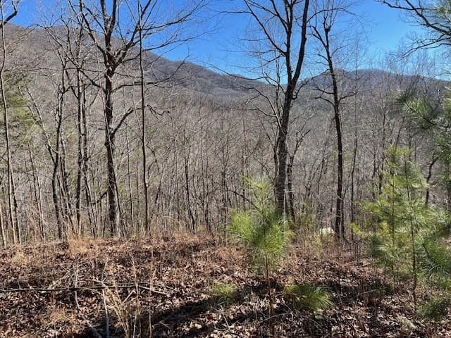 Lot 10 Mountain Valley View, Hiawassee GA 30546 - Photo