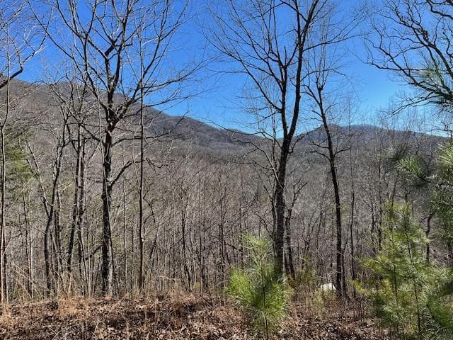 Lot 10 Mountain Valley View, Hiawassee GA 30546 - Primary photo