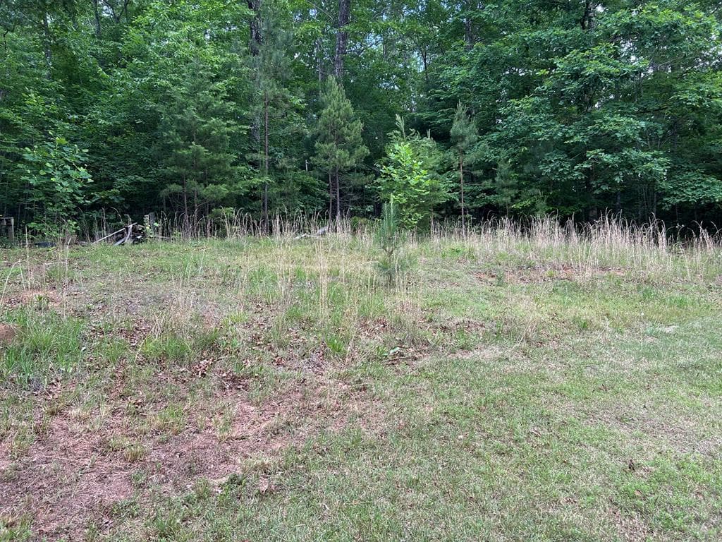 192 Spears Lane, Blairsville GA 30501 - Photo