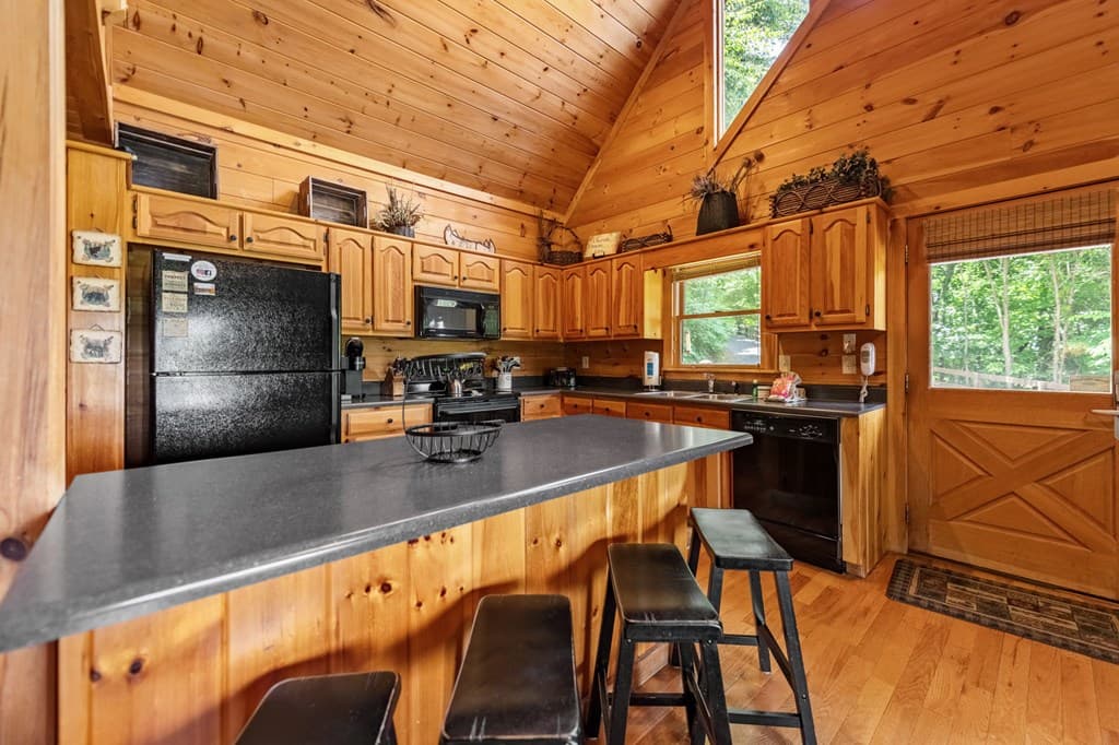 469 Mountain High Drive, Mineral Bluff GA 30559 - Photo