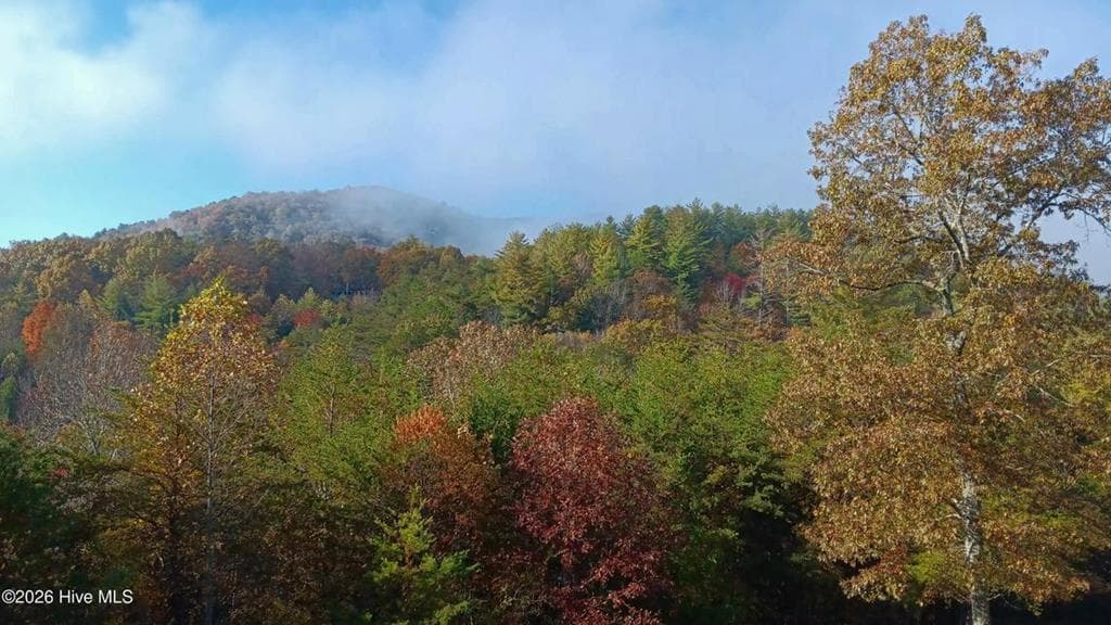 175 Pin Oak Ridge, Murphy NC 28906 - Photo