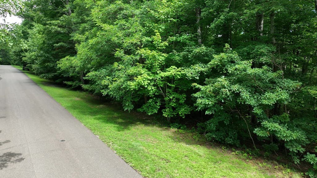 206 Northview Parkway, Ellijay GA 30536 - Photo