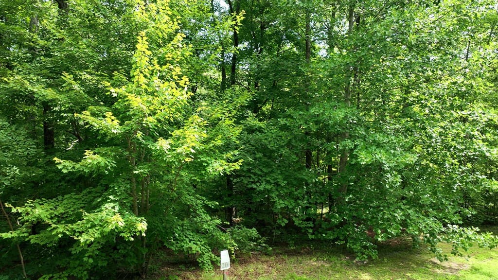 206 Northview Parkway, Ellijay GA 30536 - Photo