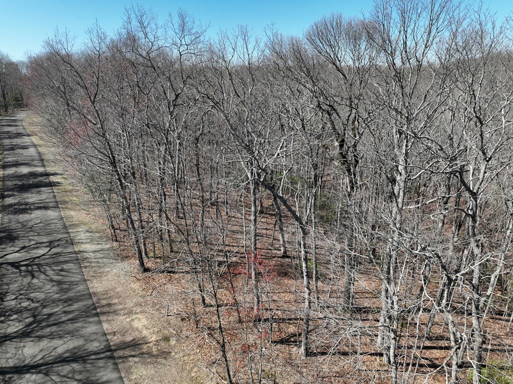 206 Northview Parkway, Ellijay GA 30536 - Photo