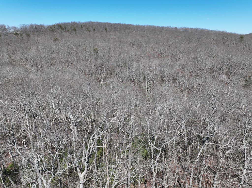 206 Northview Parkway, Ellijay GA 30536 - Photo