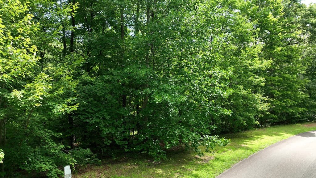 206 Northview Parkway, Ellijay GA 30536 - Photo