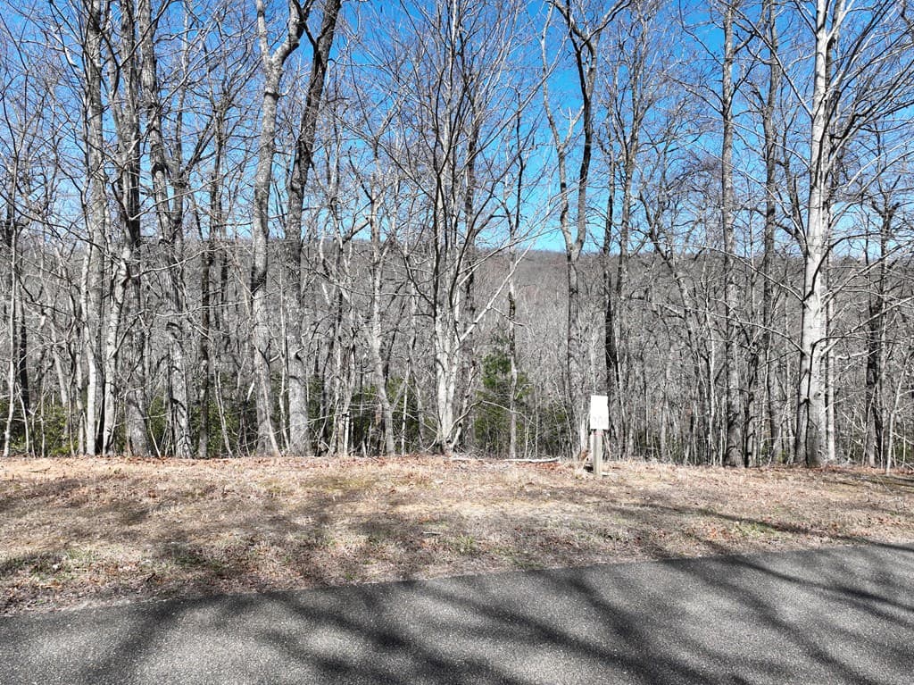 206 Northview Parkway, Ellijay GA 30536 - Photo