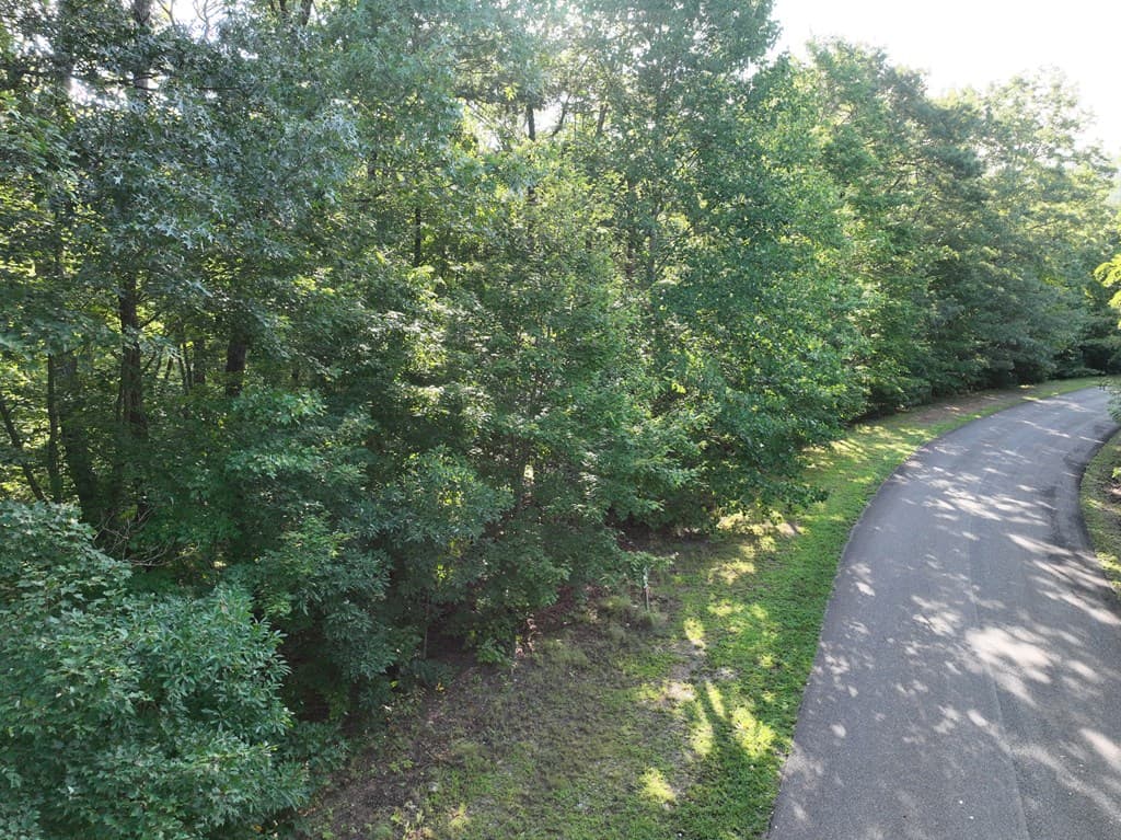 206 Northview Parkway, Ellijay GA 30536 - Photo