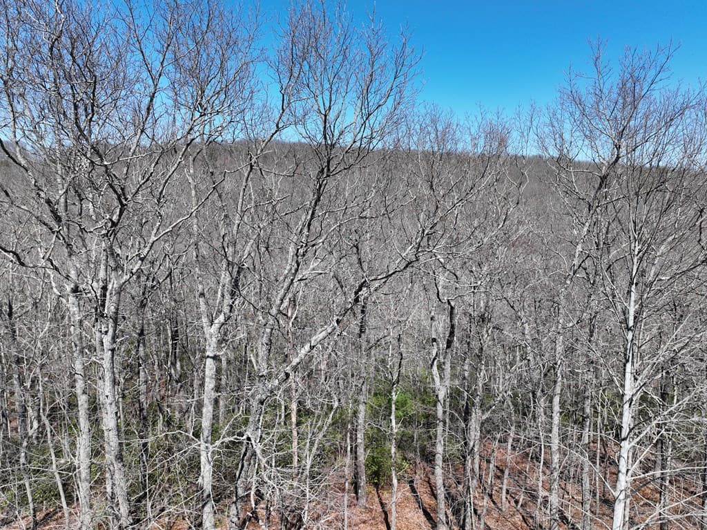206 Northview Parkway, Ellijay GA 30536 - Photo