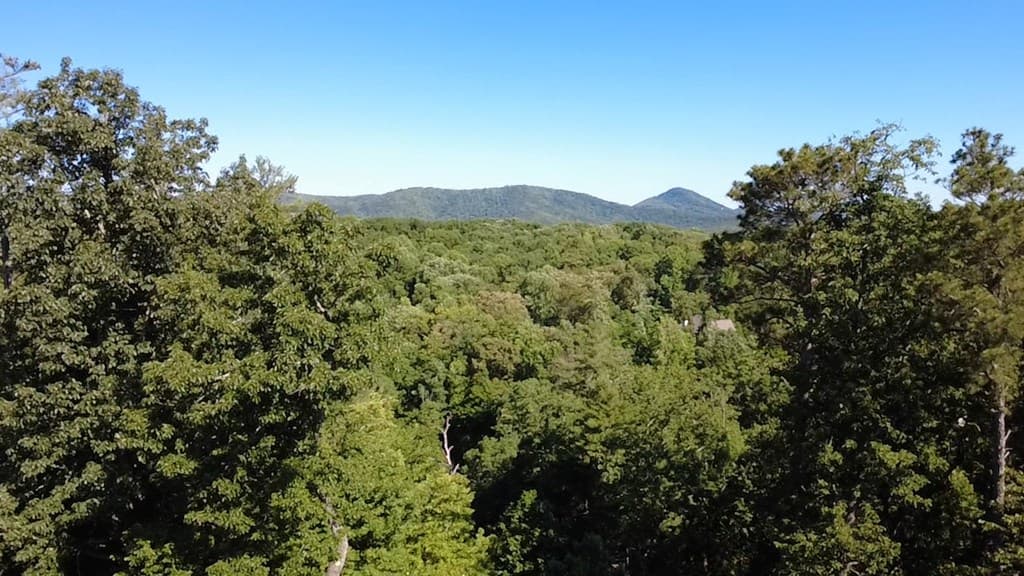 348 South Woods Court, Jasper GA 30143 - Photo