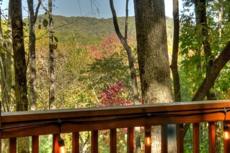 9 Joanna Court, Cherry Log GA 30522 - Photo
