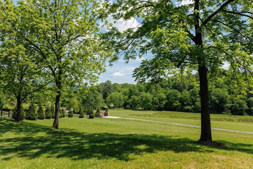 5260 Hardscrabble Road, Mineral Bluff GA 30559 - Photo