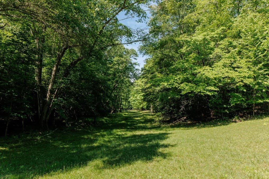 5260 Hardscrabble Road, Mineral Bluff GA 30559 - Photo