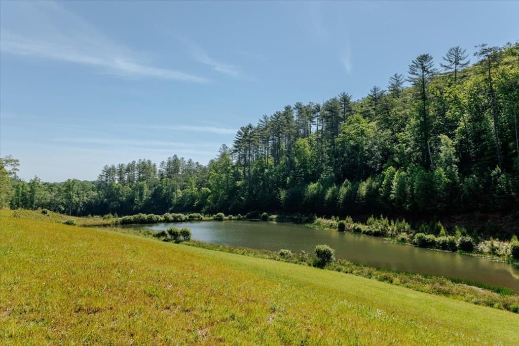 5260 Hardscrabble Road, Mineral Bluff GA 30559 - Photo