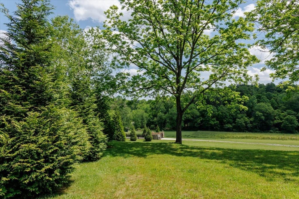 5260 Hardscrabble Road, Mineral Bluff GA 30559 - Photo