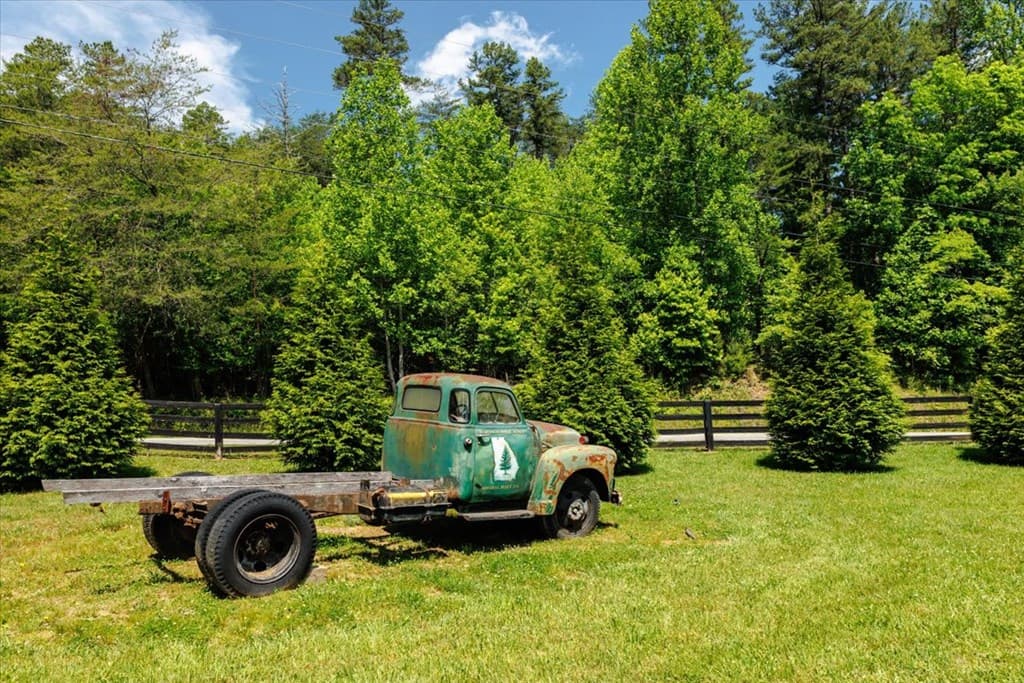 5260 Hardscrabble Road, Mineral Bluff GA 30559 - Photo