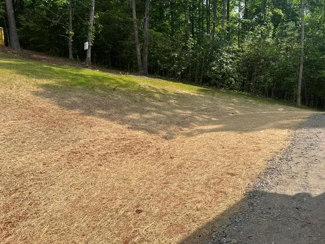42 Robins Nest Way, Young Harris GA 30582 - Photo