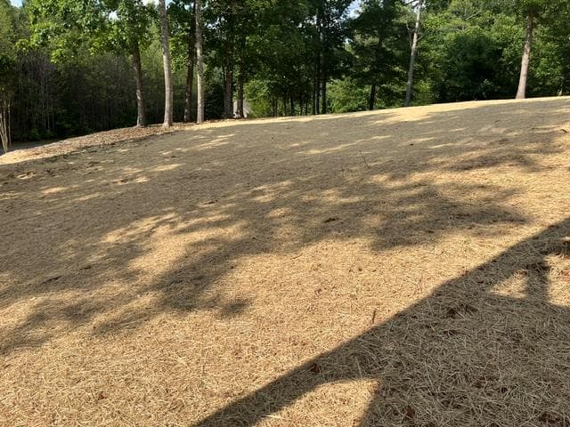 42 Robins Nest Way, Young Harris GA 30582 - Photo